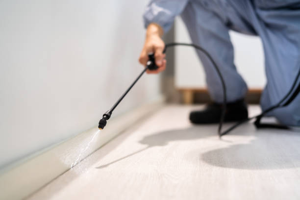 Licensed Mosquito Control service in Springfield, FL - Nex Pest Control