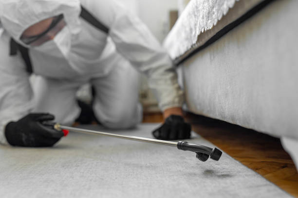 Professional Mosquito Control technician working in Springfield, FL