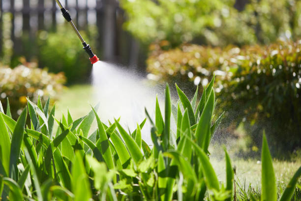 24/7 Emergency Mosquito Control experts in Springfield, FL