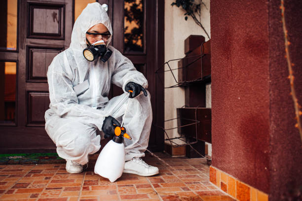 Reliable Mosquito Control contractor in Springfield, FL by Nex Pest Control