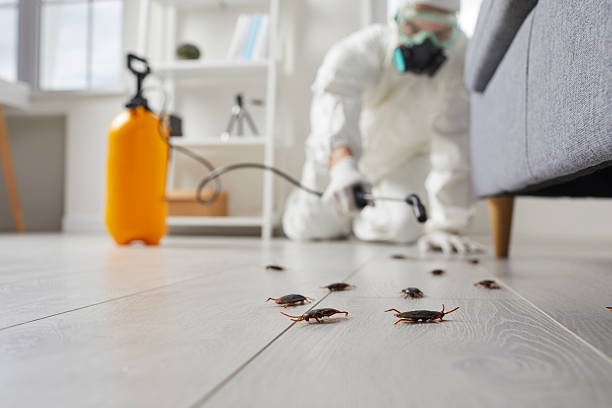 Trusted Mosquito Control service in Springfield, FL - Nex Pest Control
